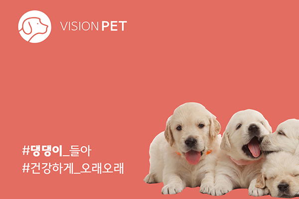 비젼펫